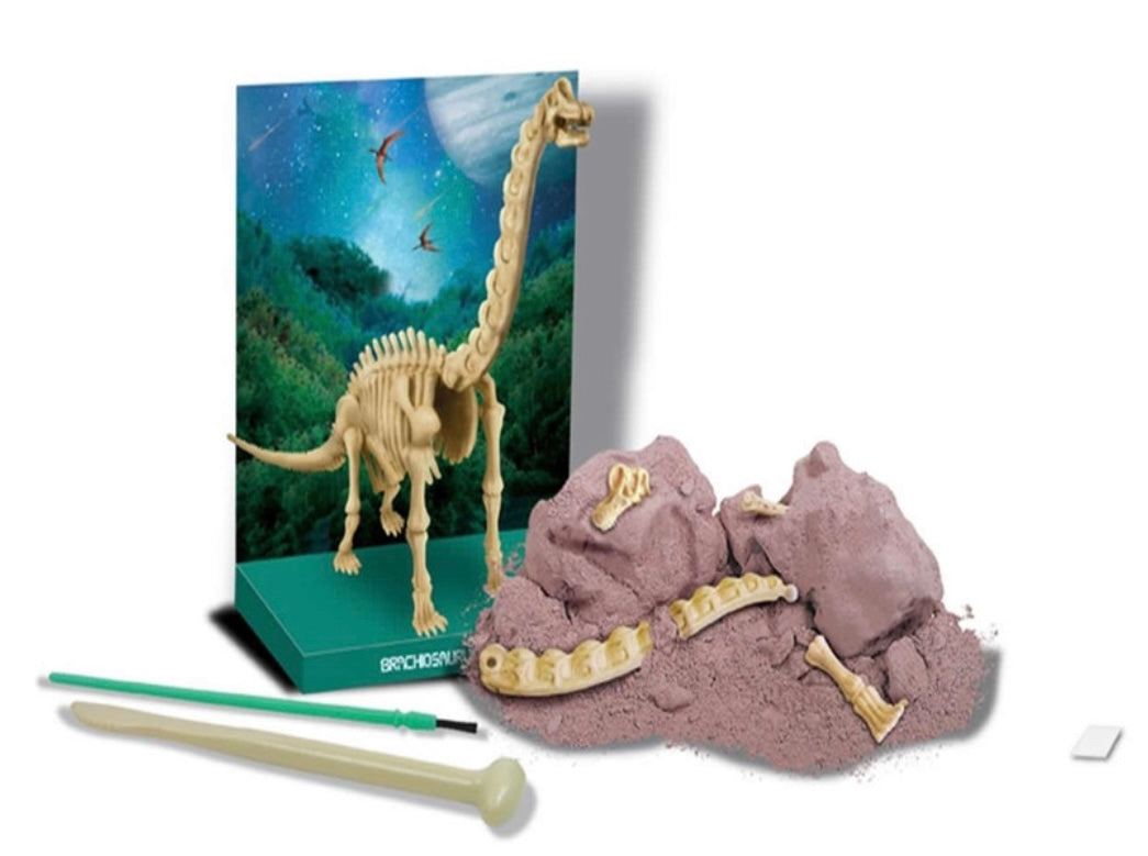 4M DIG A DINOSAUR SKELETON BRACHIOSAURUS