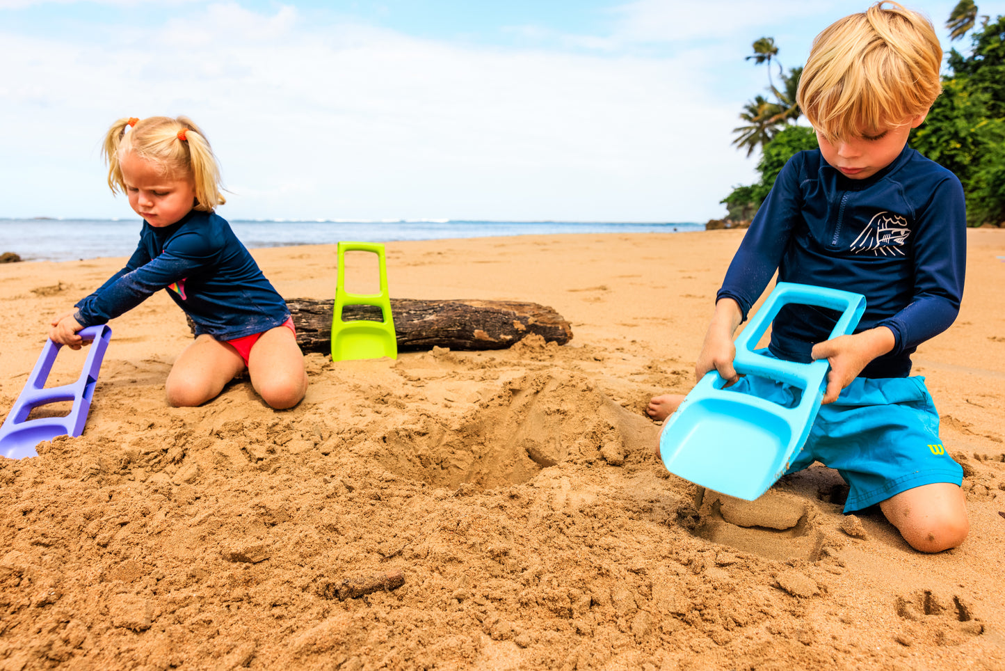 BIBIO DIBI PALA VERDE