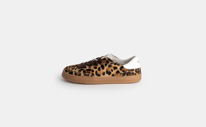 KOOPS VENAN LEOPARD
