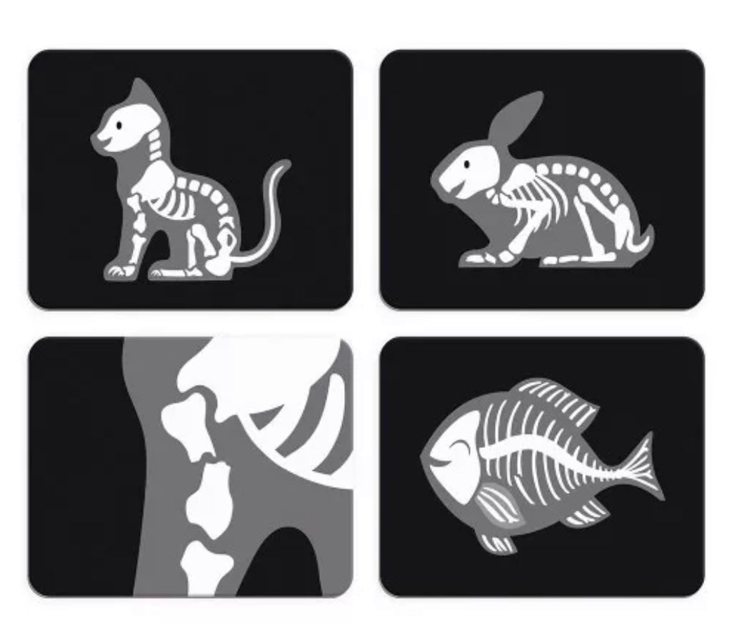 JANOD MALETÍN VETERINARIO