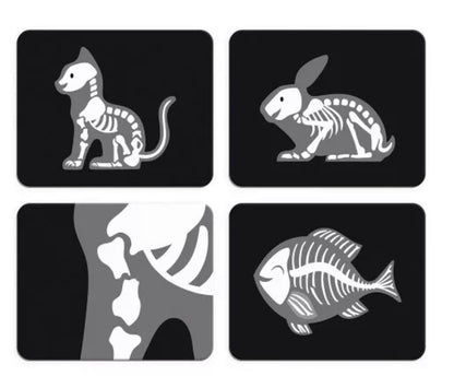 JANOD MALETÍN VETERINARIO