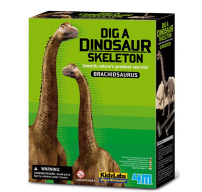 4M DIG A DINOSAUR SKELETON BRACHIOSAURUS