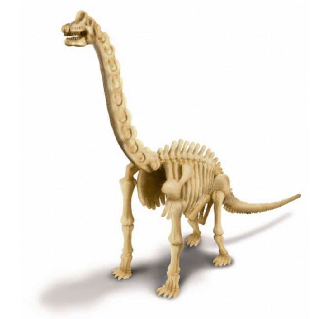 4M DIG A DINOSAUR SKELETON BRACHIOSAURUS