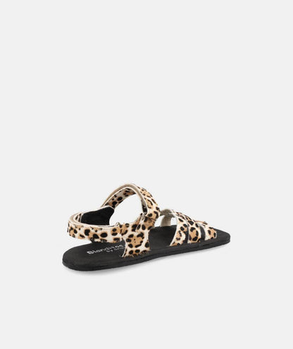 Blanditos Verona Leopardo